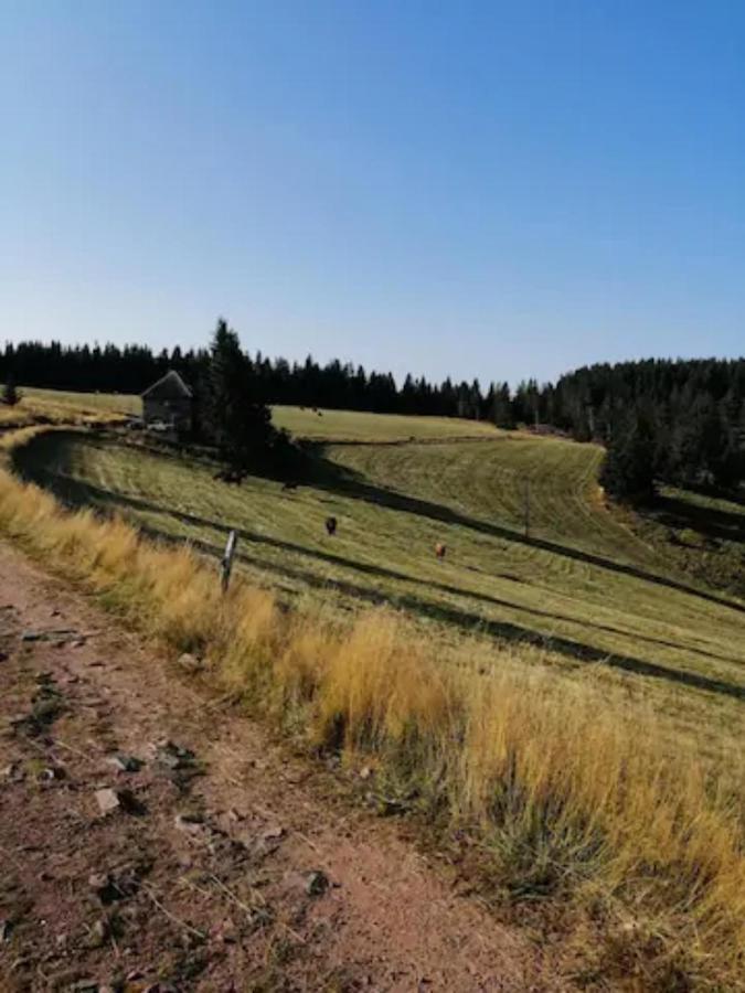 Les Locations De Stephanie Les Hautes Vosges Sondernach Exterior photo