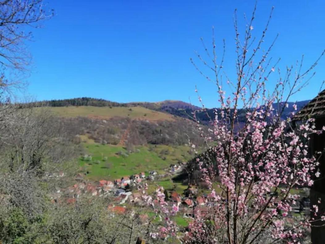 Les Locations De Stephanie Les Hautes Vosges Sondernach Exterior photo