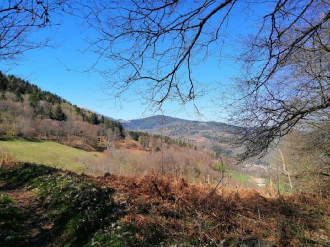 Les Locations De Stephanie Les Hautes Vosges Sondernach Exterior photo